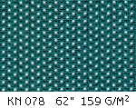 KN 078.gif (20295 bytes)