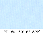 PT 160.gif (14903 bytes)