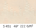 S 451.gif (17358 bytes)